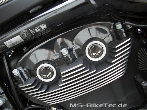 Cam cover black skull harley - cam,